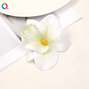 Simple Series Vacation Flower Gradient Color Plastic Hair Clips h5