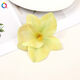 Yellow-Green Picture7