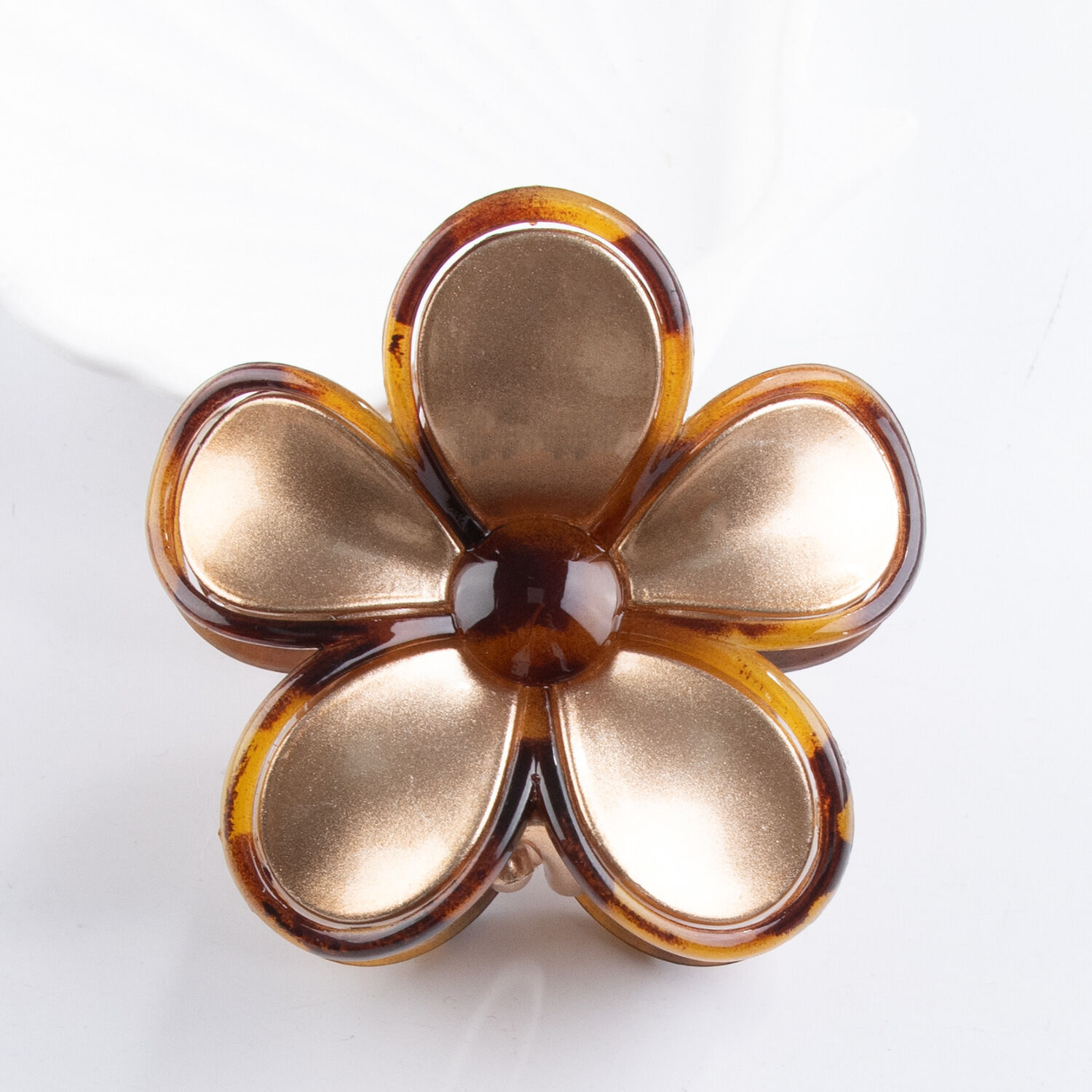 Rose Gold Color Picture2