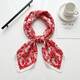 Rood Afbeelding3
