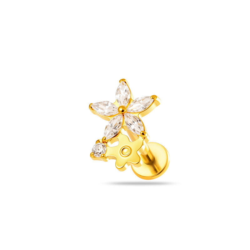 T25108-5# Oro Imagen5