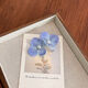Baby Blue Picture13