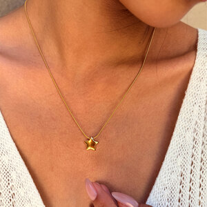 Simple Series Daily Star Stainless Steel Waterproof Gold Color Women's Chain Necklaces h5 Picture4