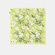 Verde chiaro Immagine4
