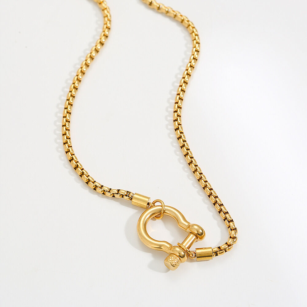 Simple Series Casual Irregular Shape Chain Stainless Steel Waterproof   Gold Color  Women's Chain Necklaces h5 