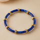 Blue Picture8