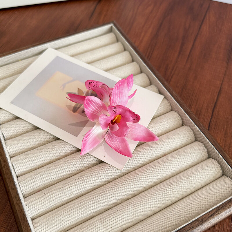 Rosa Imagen9