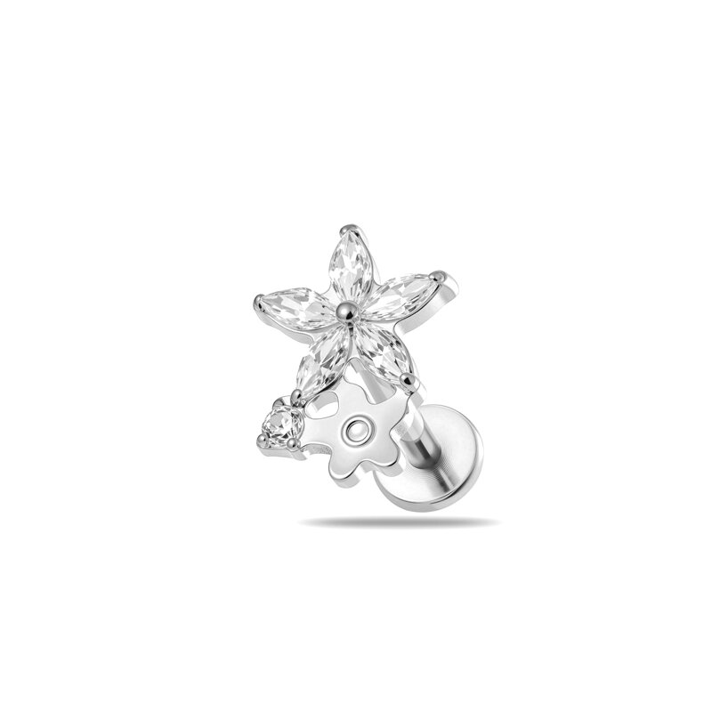 T25108-5# Plata Imagen10