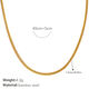 Snake Bone Chain Picture3