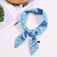 Blue Picture8