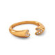 Gold Color