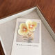 Pale Yellow Picture5