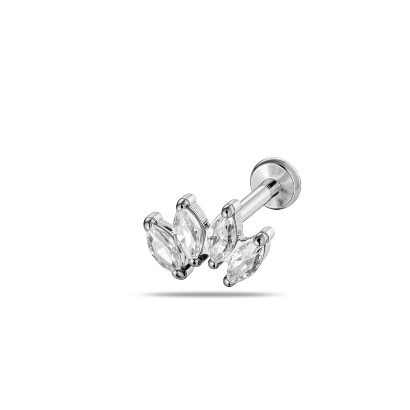 2662-8# Plata Imagen21