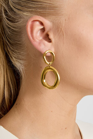 Stainless Steel Drop Earrings Circle Casual Daily Simple Series Women's jewelry h5 Picture2