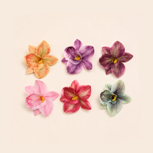 Simple Series Vacation Flower Gradient Color Plastic Hair Clips h5 Picture2