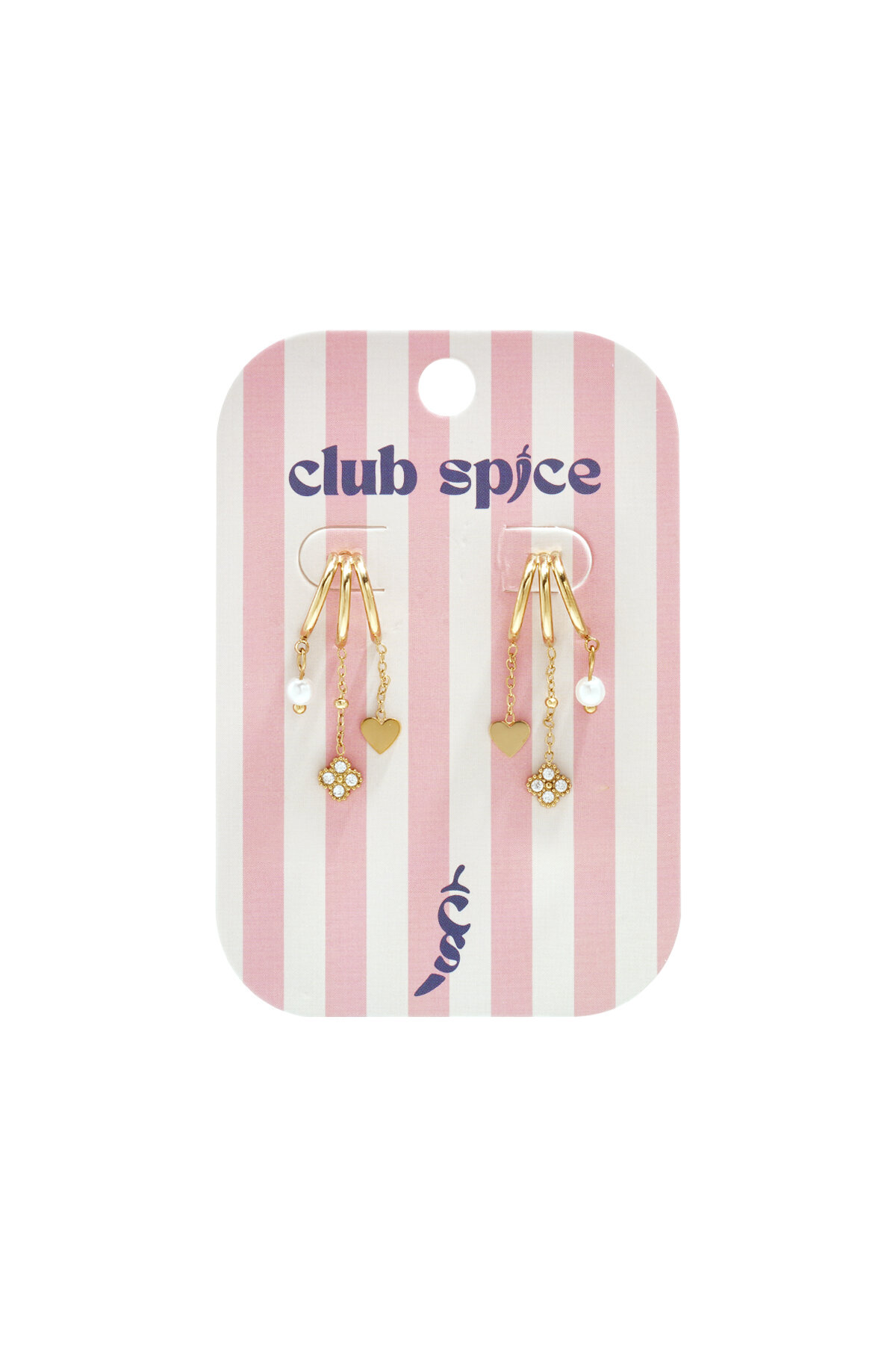 Stainless Steel Drop Earrings Heart Casual Daily Romantic Series Women's jewelry