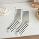 Blanco Multi/Talla única Imagen4