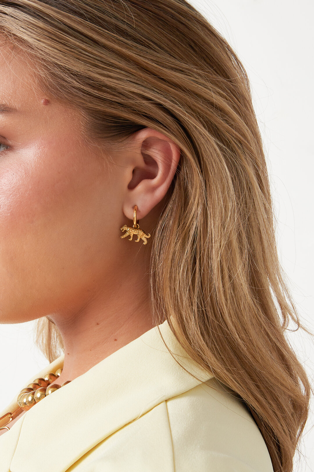 Boucles d'oreilles pendantes en acier inoxydable, motif animal, collection Daily Simple, bijoux pour femmes 2
