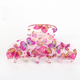 fuchsia Afbeelding7