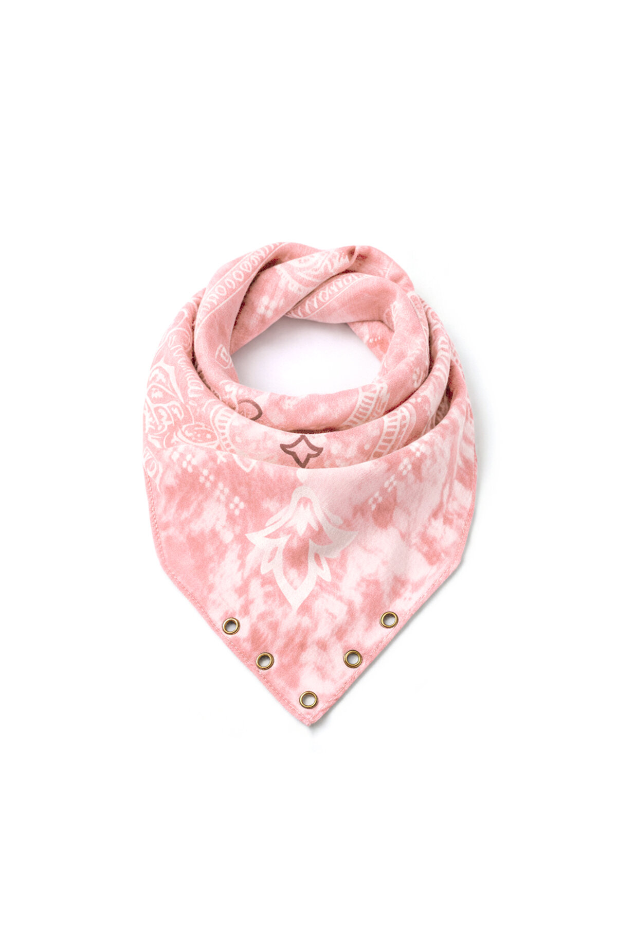 Rosa Bild3