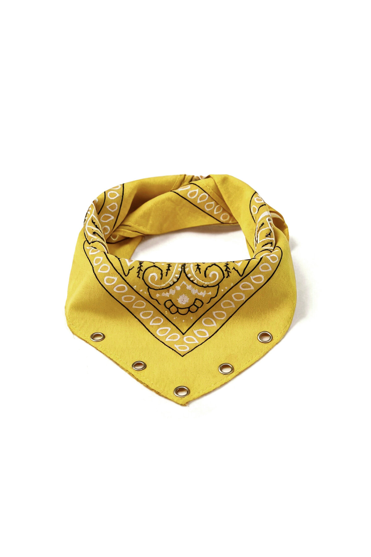 Yellow Picture7