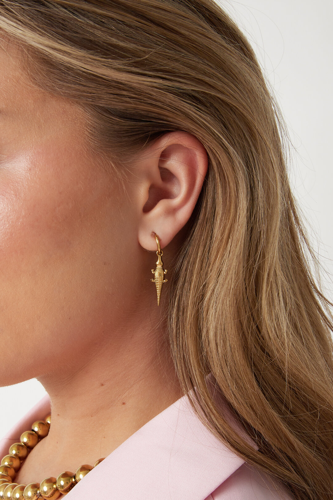 Stainless Steel Drop Earrings Animal Simple Daily Simple Series Women's jewelry 2