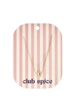 Roestvrijstalen Hangerkettingen Star Simple Daily Simple Series Damessieraden h5 Afbeelding2