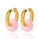 Rosa Bild12