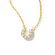 Gold Color Picture2