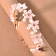 Pembe Resim3