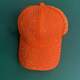 Orange Picture7