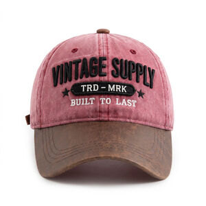 Casual Embroidery Letter Cotton Baseball Cap h5