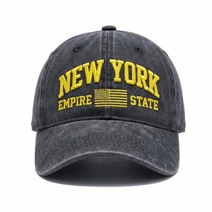 Casual Embroidery Letter Cotton Baseball Cap h5 Picture3
