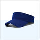 Royal Blue Picture3