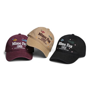 Casual Embroidery Letter Cotton Baseball Cap h5 Picture4