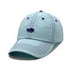 Light Blue Picture3