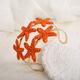 Orange Picture5