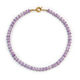 Lavanda Immagine8