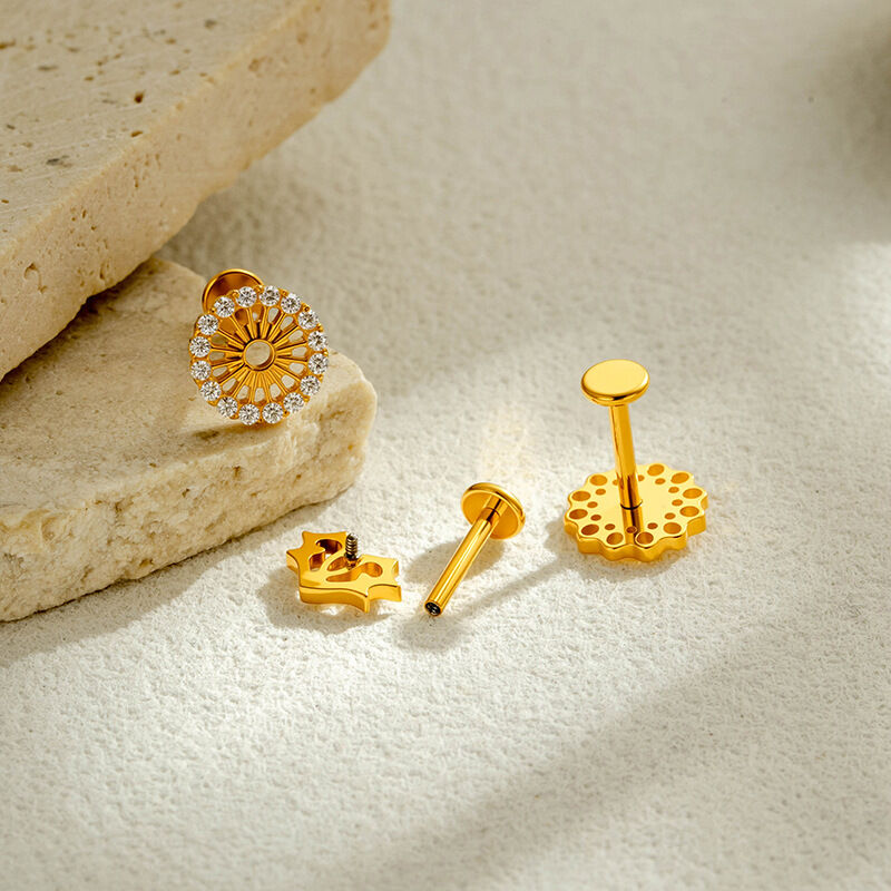 Boucles D'Oreilles Piercing Pour Femme, En Alliage De Titane Doré Avec Zircon, Motif Cœur Et Animal, Collection Simple. h5 Image3