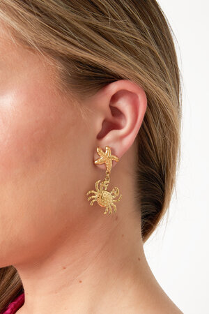 Dangling starfish earrings with crab h5 Picture2