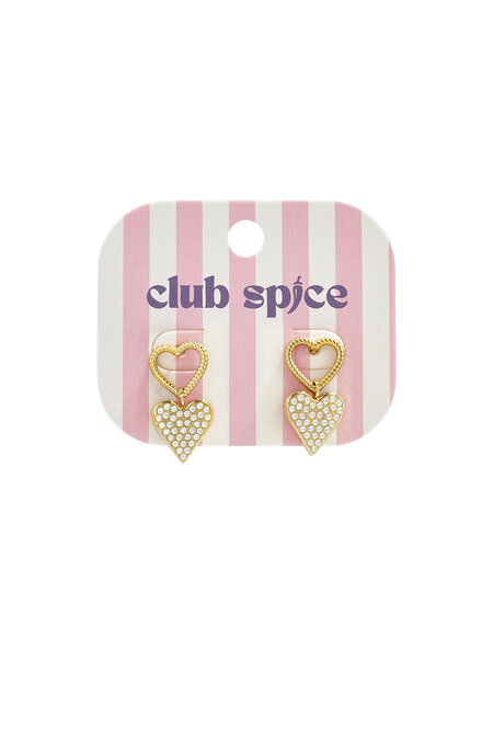 Stainless Steel Drop Earrings Heart Simple Daily Simple Series Women's jewelry 2