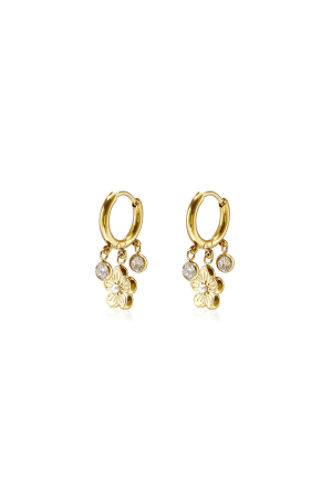 Stainless Steel Drop Earrings Flower Simple Daily Simple Series Women's Jewelry h5 
