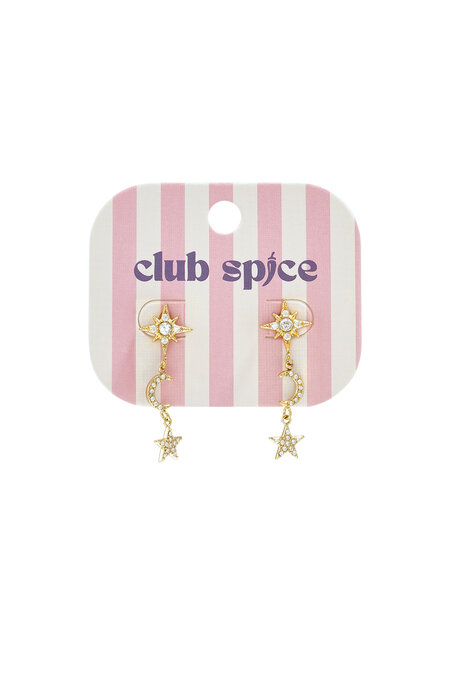 Stainless Steel Dangle Earrings Star Daily Women's jewelry 2