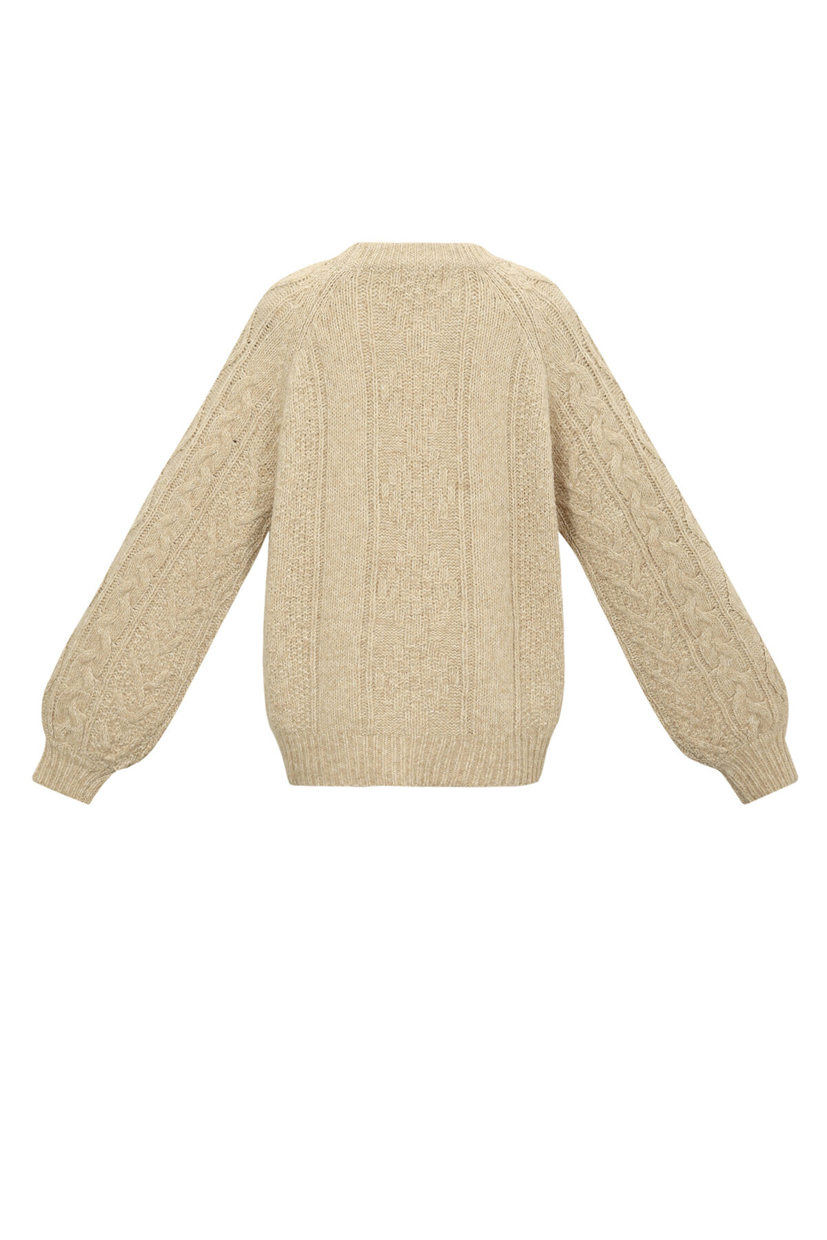 Pull Norvégien Image3