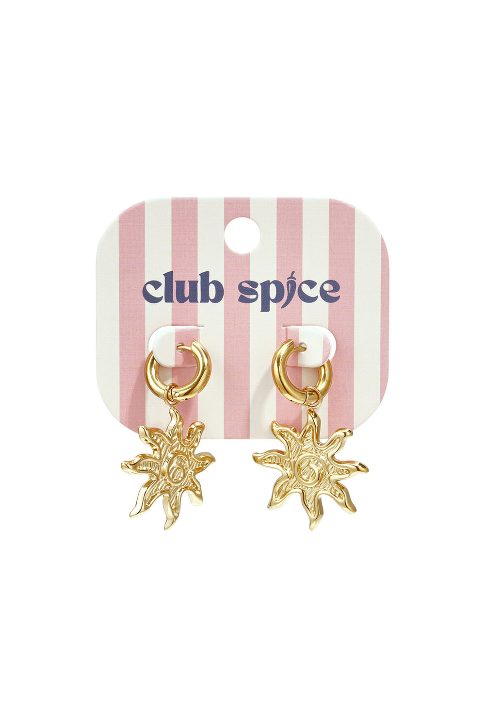 Stainless Steel Drop Earrings Sun Simple Daily Simple Series Women's Jewelry h5Picture2