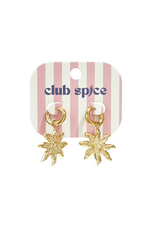 Stainless Steel Drop Earrings Sun Simple Daily Simple Series Women's Jewelry h5 Picture2