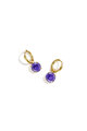 Purple Picture5