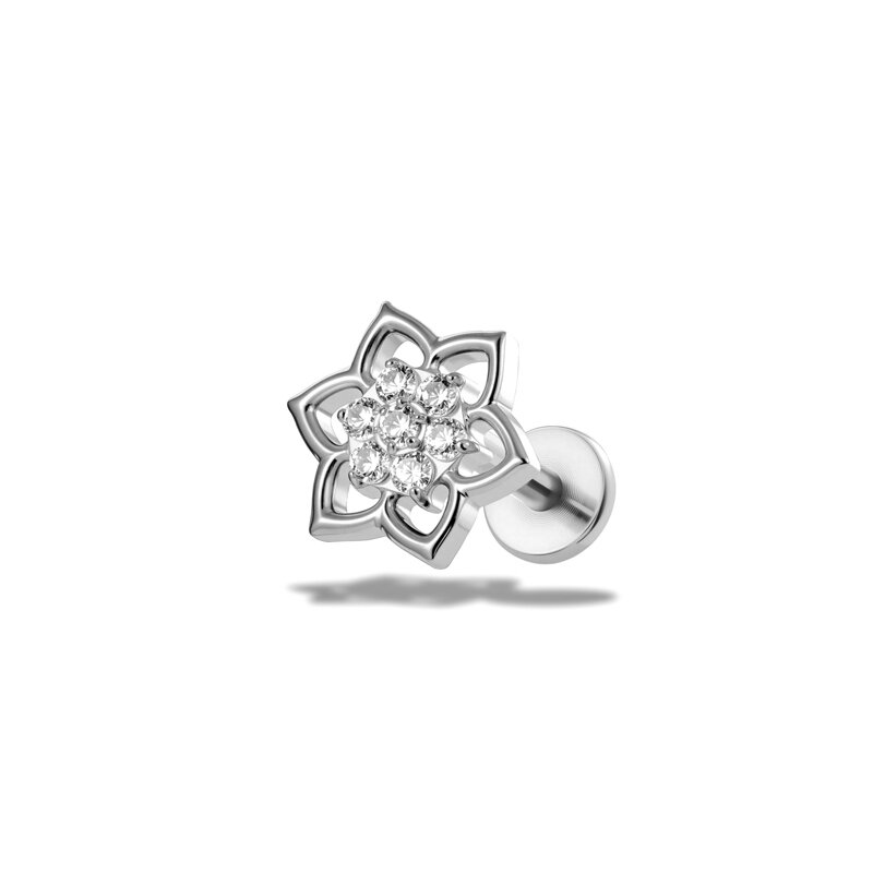 T25118-5# Argent Image14