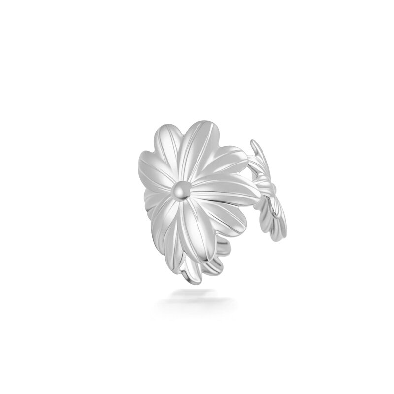 2676-5# Argent Image13