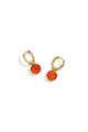 Orange Picture4